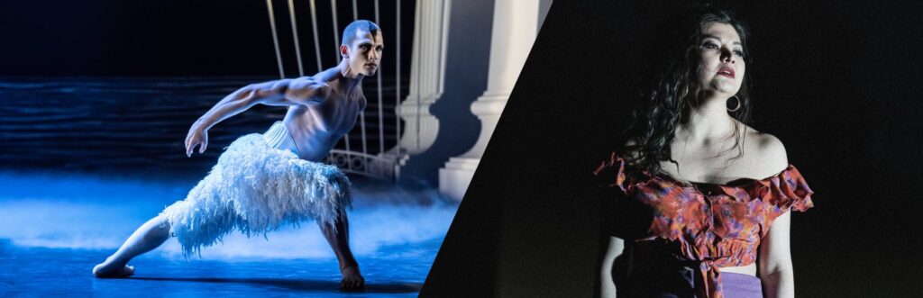 cabecera ultimo minuto lago cisnes carmen