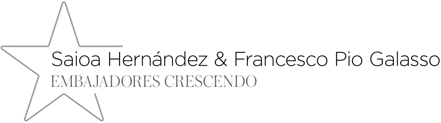 logo embajadores big